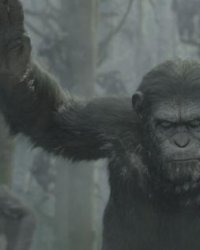 Matt Reeves reviendra pour La Planète des singes 3