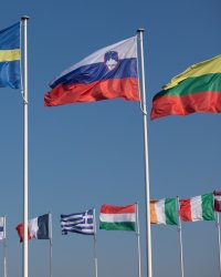 Journées mondiales : pourquoi y en a t-il autant ?