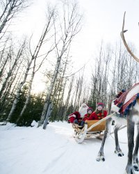 Rovaniemi : découvrez la ville du Père Noël