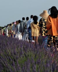 Jacquemus fête les 10 ans de sa marque dans un champ de lavande