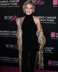 Sharon Stone, après son AVC : "J'ai tout perdu"