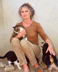 Brigitte Bardot en 10 coups d'éclat