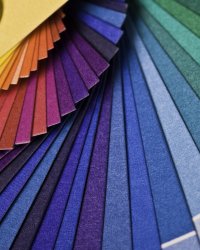 Comment est choisie la couleur de l'année ?