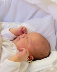Alexandre de Suède, le premier portrait officiel du petit prince !