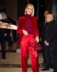 Céline Dion époustouflante en robe de mariée