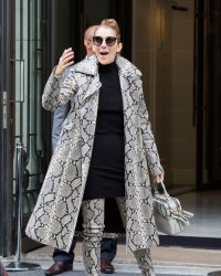 Céline Dion : son nouveau look surprenant