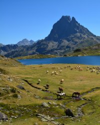 10 lacs incroyables à voir en France