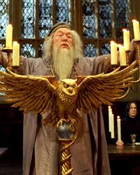 Lumos Maxima : un festival immersif Harry Potter prévu en France dans 30 000 m²