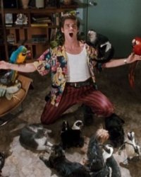 Jim Carrey a 60 ans : retour sur 10 rôles culte