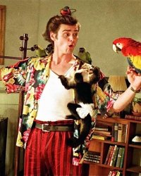 Ace Ventura : Jim Carrey bientôt de retour dans un troisième volet ?