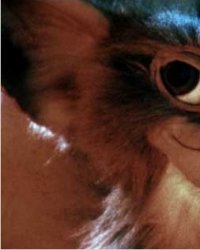 Les Gremlins et Les Goonies auront droit à leur reboot