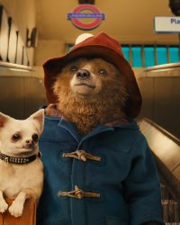 Paddington : la suite prévue pour 2017 et un troisième volet déjà en projet