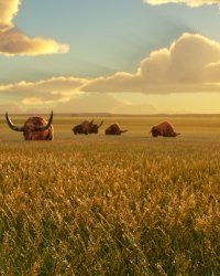 Secrets de tournage : Le Voyage d'Arlo