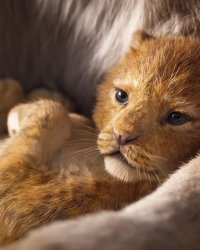 Le Roi Lion : comment la nouvelle version a-t-elle été tournée ?