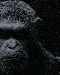 La Planète des singes 3 se dévoile dans un trailer captivant