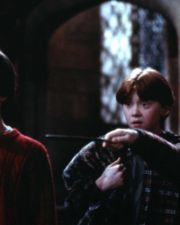 Harry Potter : Chris Columbus rêve de réunir le casting originel