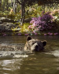 Le Livre de la Jungle: Lambert Wilson, Leïla Bekhti et Eddy Mitchell se confient