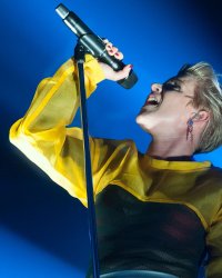 Robyn, Jarvis Cocker, Sébastien Tellier présents sur la BO du film "Partisan"