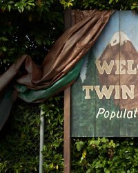 Sky Ferreira, Trent Reznor et Eddie Vedder au casting de Twin Peaks