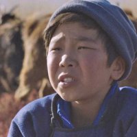 Les Racines du monde - Bande annonce 1 - VO - (2019)