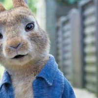 Pierre Lapin 2 - Bande annonce 1 - VF - (2021)
