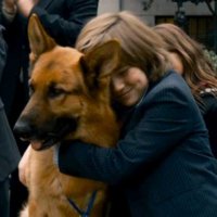 Rintintin à New York - Bande annonce 1 - VO - (2010)
