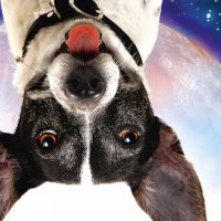 Un chien croc bien - bande annonce - VO - (2012)