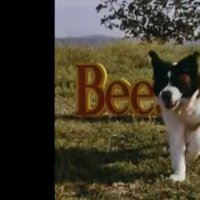Beethoven 2 - Bande annonce 1 - VO - (1993)
