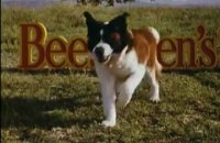 Beethoven 2 - bande annonce - VO - (1993)