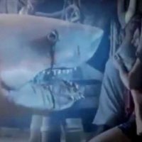 Ghost Shark - bande annonce 2 - VO - (2013)