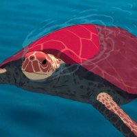 La Tortue rouge - bande annonce - VF - (2016)