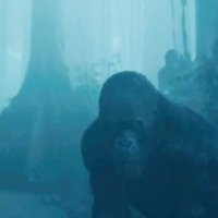 Tarzan - Bande annonce 7 - VO - (2016)