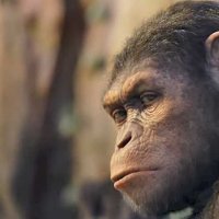La Planète des singes : les origines - Bande annonce 2 - VF - (2011)