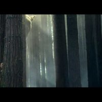 Peter et Elliott le dragon - Teaser 5 - VO - (2016)