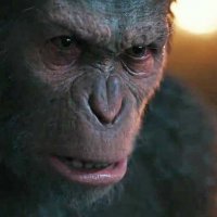 La Planète des Singes - Suprématie - Bande annonce 1 - VO - (2017)