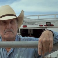 Wild Horses - bande annonce - VO - (2015)
