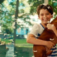 Le Teckel - bande annonce - VOST - (2016)