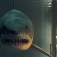 Bait - bande annonce 2 - VF - (2012)