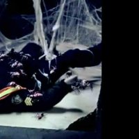 Spiders - bande annonce 3 - VF - (2013)