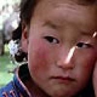 Le chien jaune de Mongolie - Bande annonce 1 - VO - (2005)