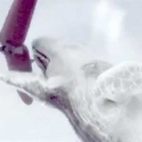 2010: Moby Dick - bande annonce - VO - (2010)