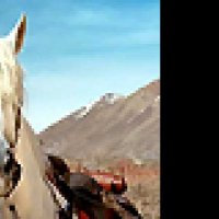 Lucky Luke - teaser 3 - (2009)