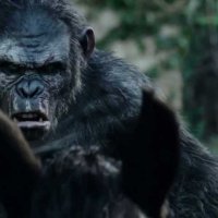 La Planète des singes : l'affrontement - Bande annonce 2 - VO - (2014)