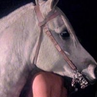 Equus - bande annonce 2 - VOST - (1978)
