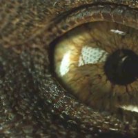 Jurassic World: Fallen Kingdom - teaser 2 - VF - (2018)