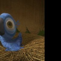 Rio - Extrait 5 - VF - (2011)