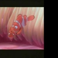 Le Monde de Nemo - Extrait 1 - VF - (2003)