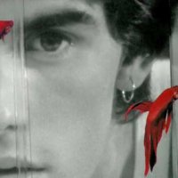 Rusty James - Extrait 3 - VO - (1983)