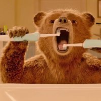 Paddington 2 - bande annonce - VF - (2017)
