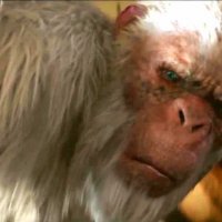 Chair de Poule - Le film - Extrait 6 - VO - (2015)